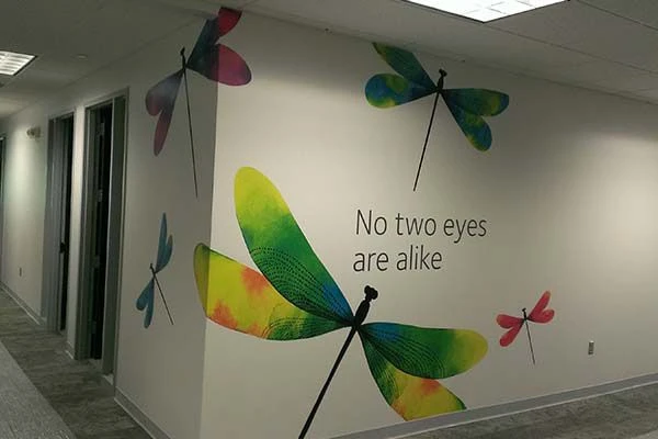 Wall Murals in Rochester